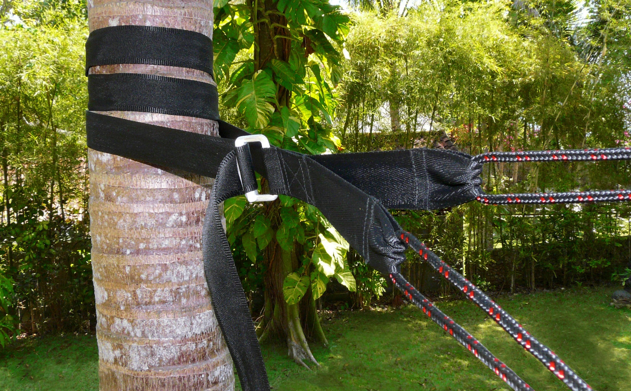 Deluxe Cinching Tree Straps