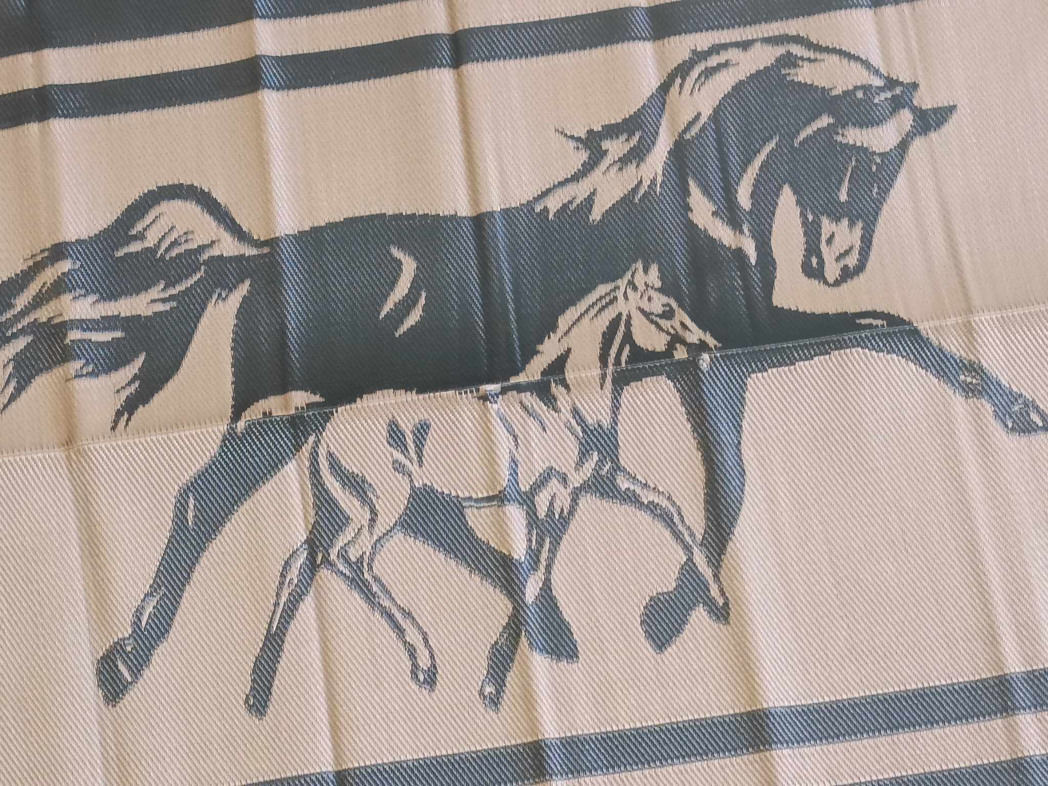 NNEDSZ Horse 5m x 2.4m camping mat