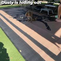 NNEDSZ Horse 5m x 2.4m camping mat