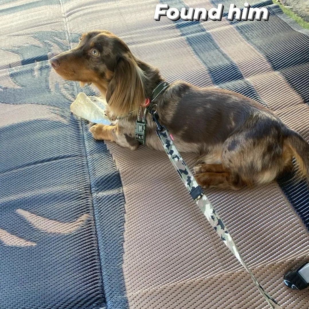 NNEDSZ Horse 5m x 2.4m camping mat